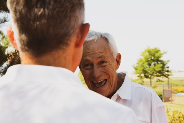 Pension system in the Netherlands